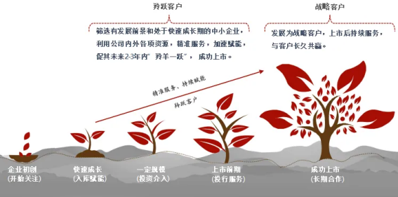 芯森电子加入招商证券“羚跃计划”，携手探索产业协同新机遇