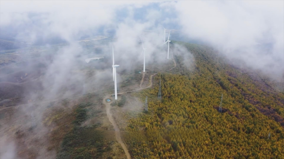 陆上风电变流器电网友好型改造：2MW机组为何被200A电流检测卡住脖子？